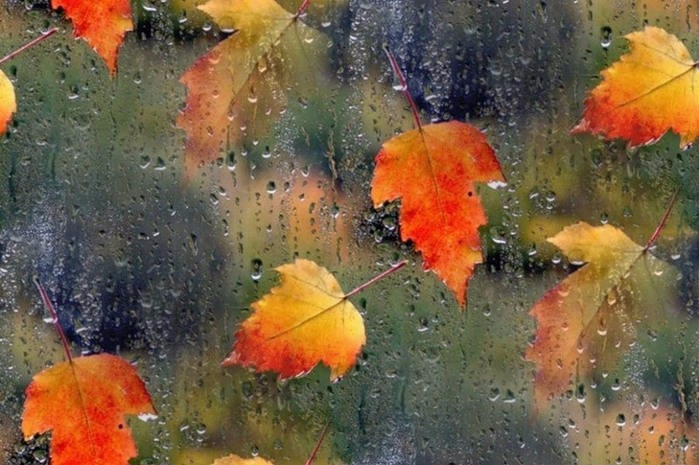 Осень. Сказка для взрослых