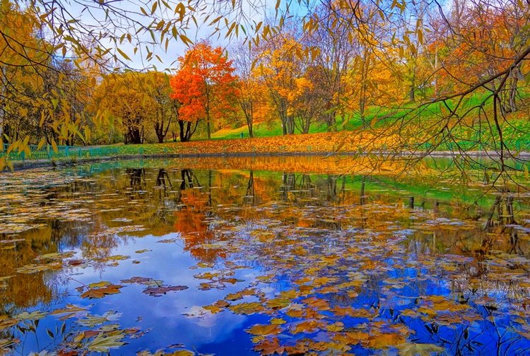 Красотка-осень — Болталка и разговоры обо всем: жизнь