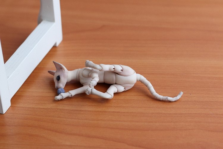 Кот играет с мячиком — Разные куклы BJD (БЖД): редкие бренды