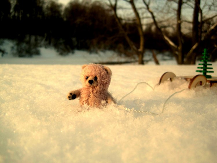 Мишкина зима! Авторский мишка Ольги Чернухо (фото 7)