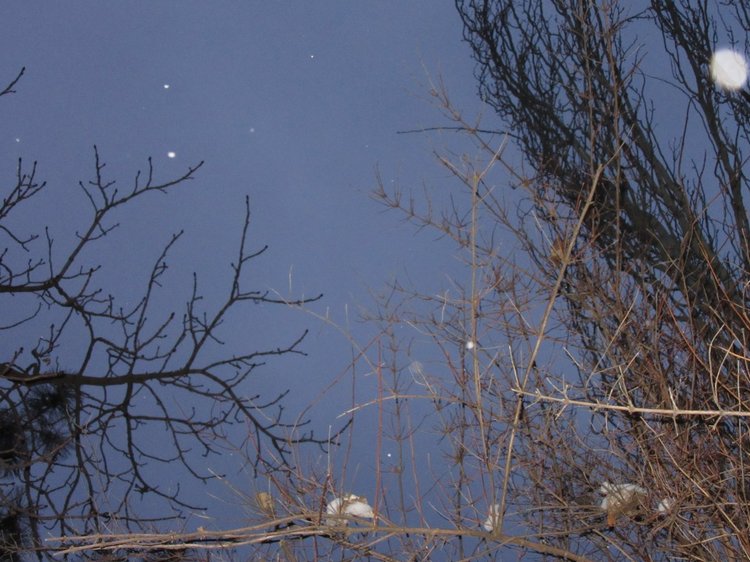 Зимушка моя — Куклы Resinsoul (Резинсоул) и Bobobie: BJD (БЖД)