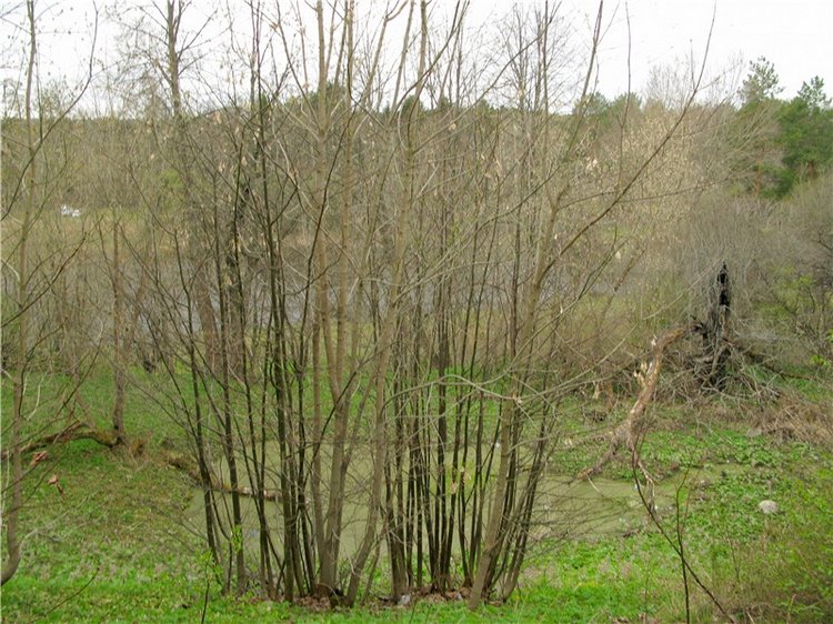 Майский день в Митино — Туризм и путешествия: фотоотчеты из поездок