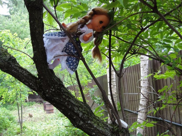 Как Шарлотта ездила на дачу