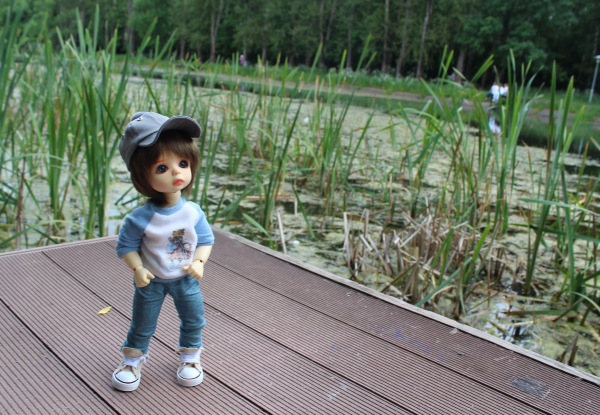 У Московского пруда. Или куда деваются утки (фото 5)