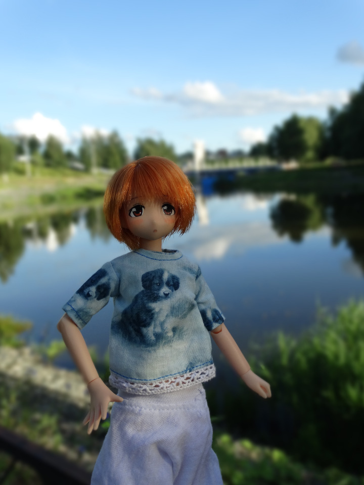 Путешествие с Азоночками Azone doll
