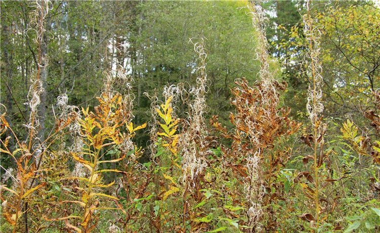 Тверской Водопад — Туризм и путешествия: фотоотчеты из поездок