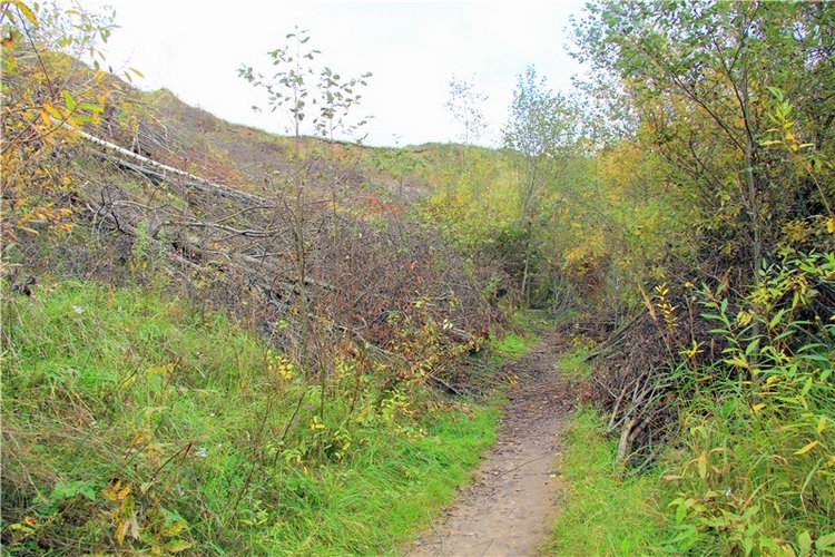 Тверской Водопад — Туризм и путешествия: фотоотчеты из поездок