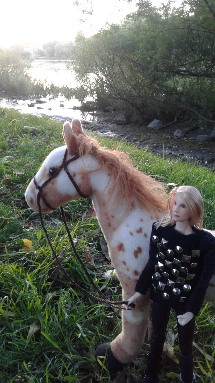 Зимнее солнце. Глава 6. Дом там, где сердце