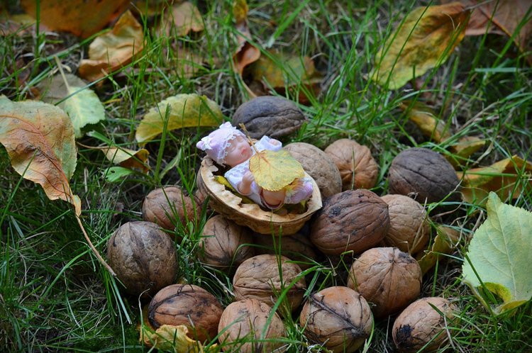 Мои микро малышки в фотосессиях (фото 10)