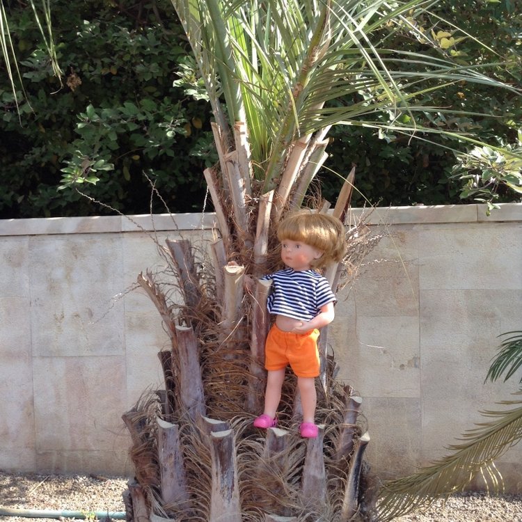 Белое солнце пустыни. Ч.1 Дорога к морю