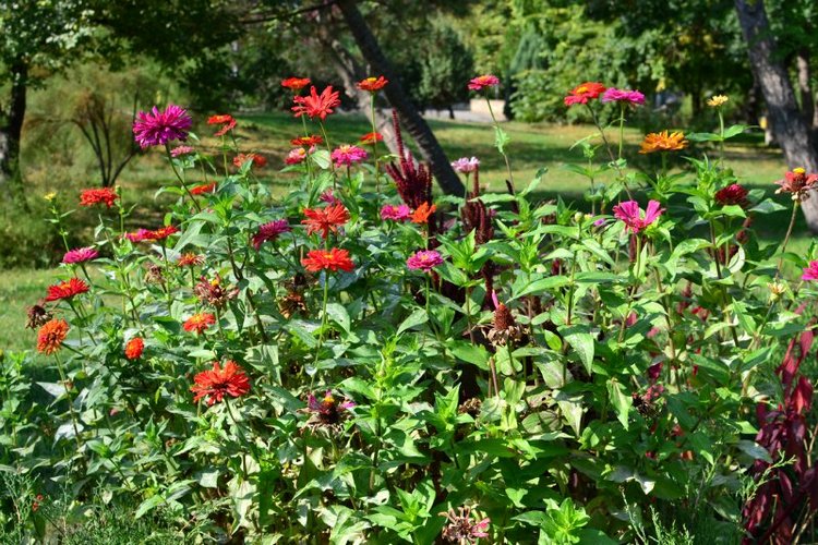 Осенние мотивы (любителям Юджин посвящается:)