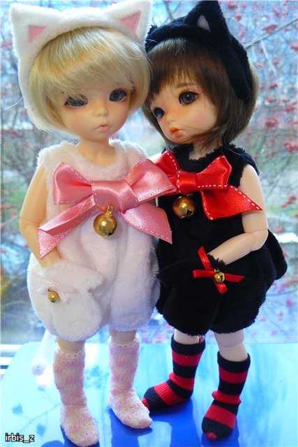 Планета Кошек. LittleFee Ante Elf Зарянка и LittleFee Leah Миланка | Бэйбики Планета Кошек. LittleFee Ante Elf Зарянка и LittleFee Leah Миланка