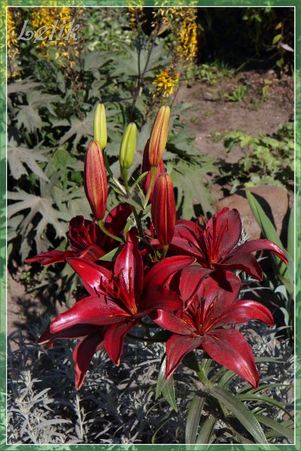 Цветочный рай, или новый наряд Ульяны (Pipa 2003 года, Gotz) | Бэйбики Цветочный рай, или новый наряд Ульяны (Pipa 2003 года, Gotz) (фото 8)