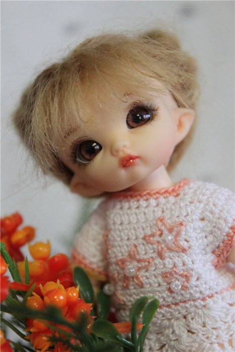 Пополнение в горшковой группе :) (Fairyland pukipuki Niko, Ante, Ruby) (фото 8)