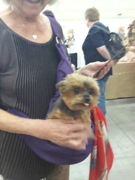 TeddyBar Total 2015! Как это было