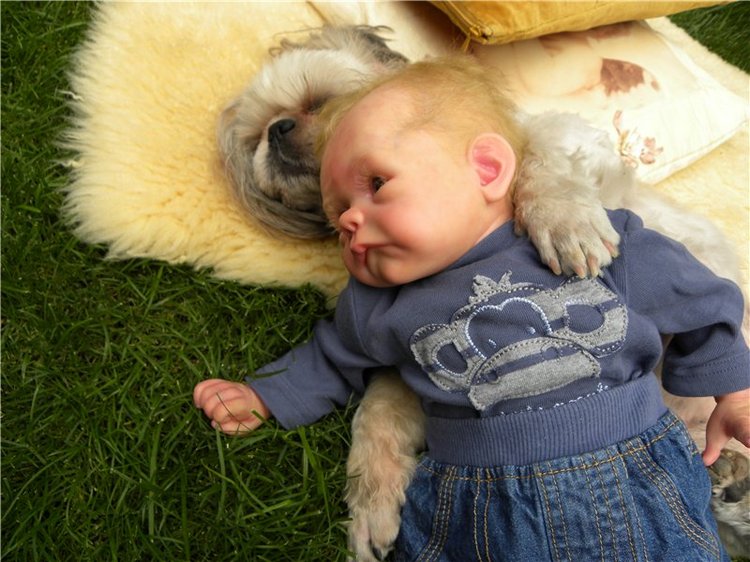 Мой не запланированный Лягушонок реборн