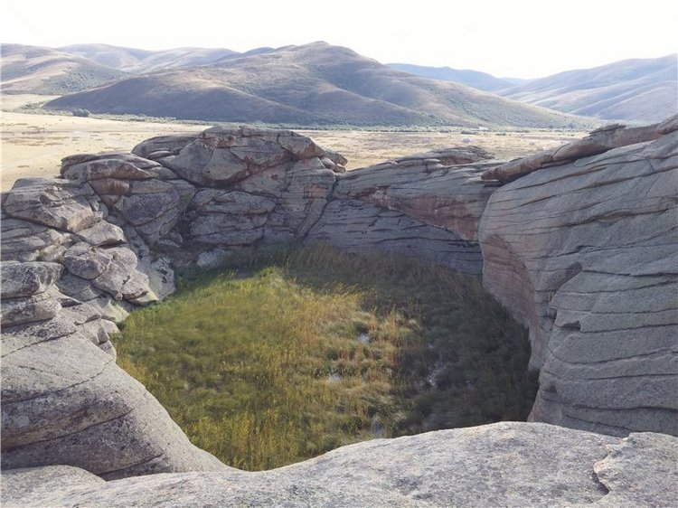 Сибинские озера. Фросенька-эльф высокогорный. ReaiPuki Pupu