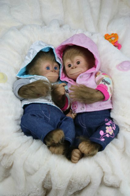 Мартышка - малышка... Куколка реборн Виктории Вишни