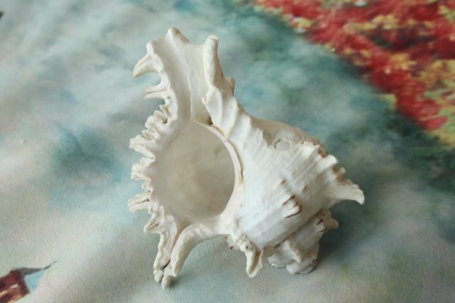 Игрушки детства — Игрушки СССР и советского детства: резиновые