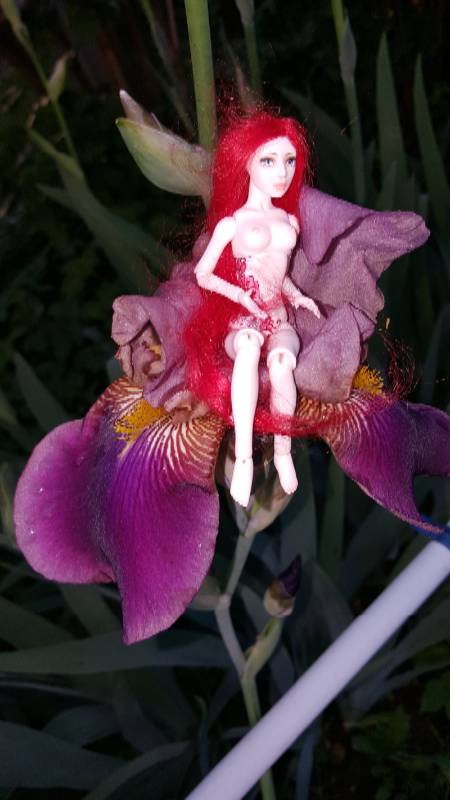 Катрина и волшебный лес - 4 (фото 4)