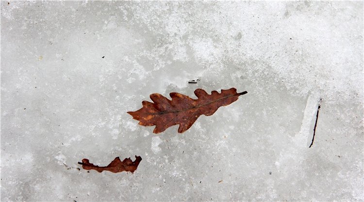 Весеннее путешествие. Продолжение