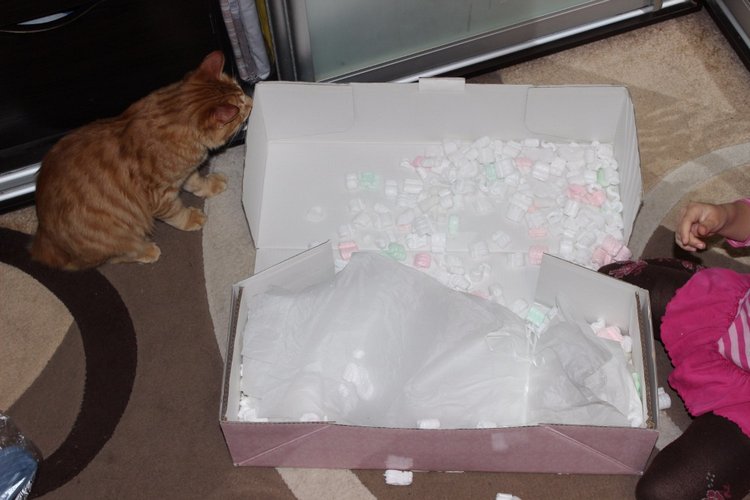 Мимолетная гостья,озорной рыжик Sweet & Sassy, Lee Middleton