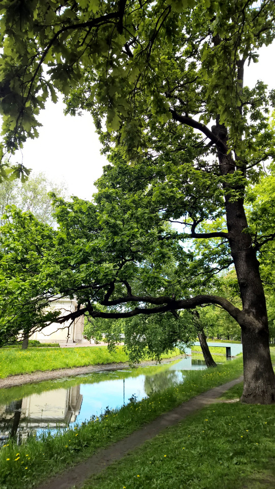 Как сложно быть самой собой