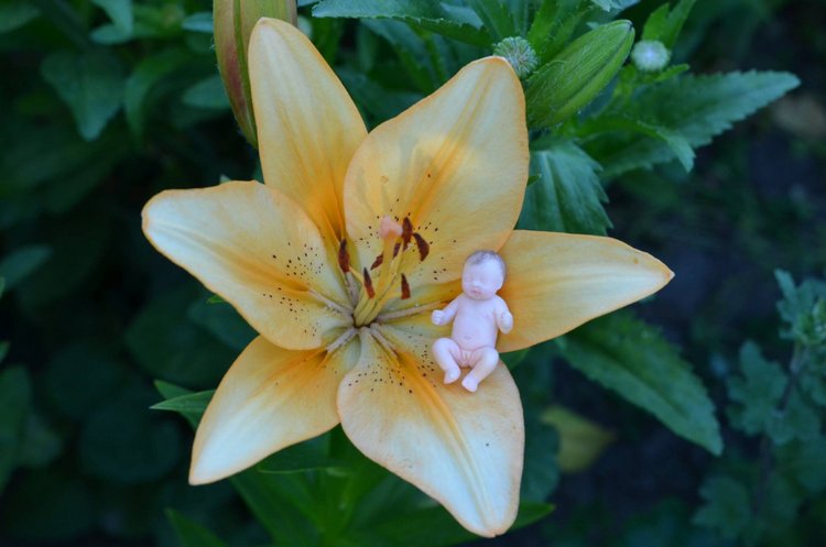 Крошка 4 см в образе Цветочная малышка (фото 3)