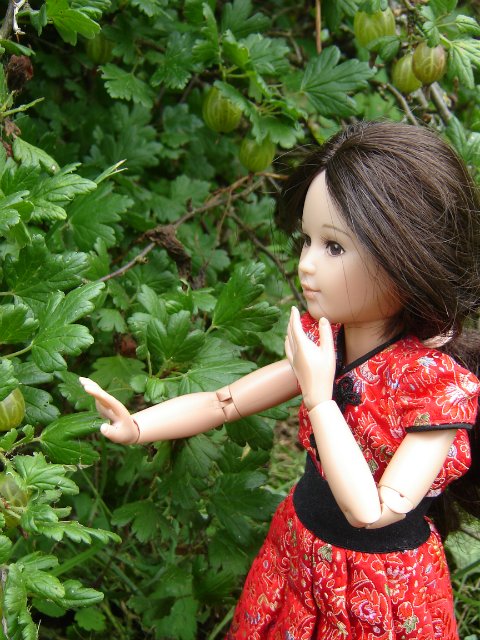 Компромисс: моя первая БЖД: Люси - Senson doll, в гостях на даче