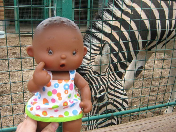 Пупсы Nines Artesanal D'Onil в Ижевском зоопарке