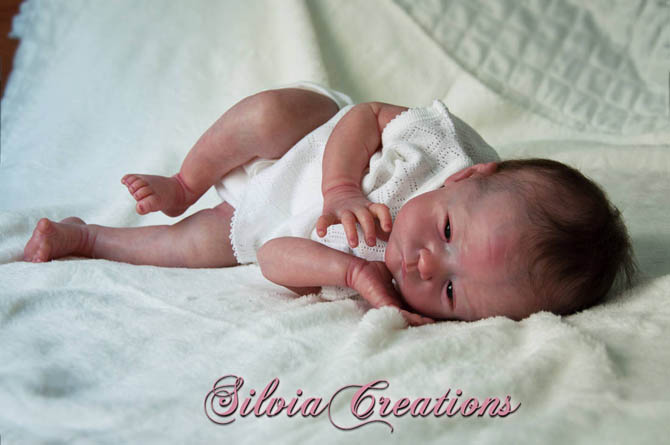 Новый молд Will от Натали Шолль