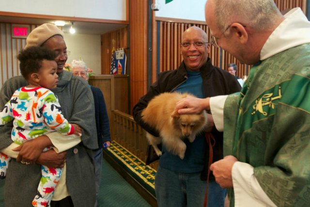Мне вслед глядит душа кошачья... 4 октября - день памяти святого Франциска и Международный день животных