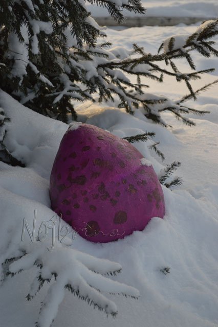 Самый лучший день или откуда берутся вихтели Rosemarie Muller (фото 2)