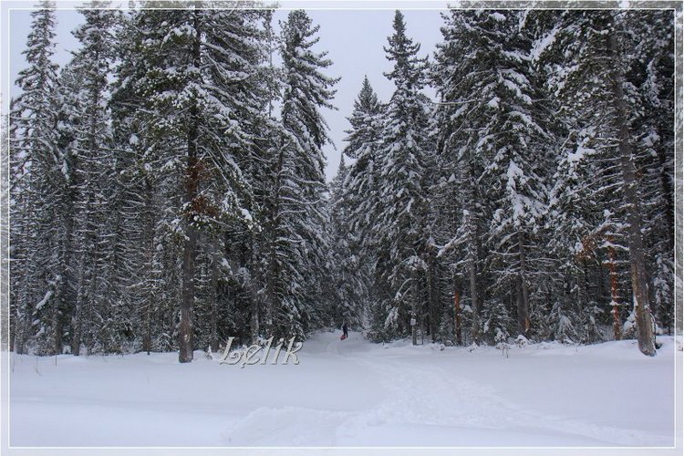 12 месяцев, или как Тамира за подснежниками ходила ) (фото 3)