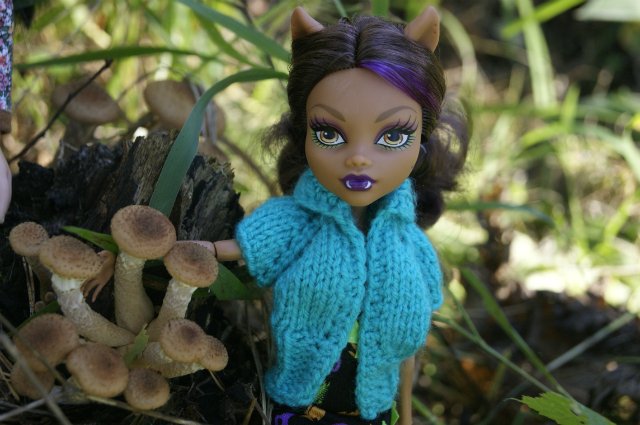 Как Лиу и Клодин за грибами ездили