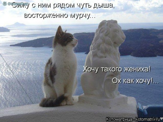 Просто добавь улыбку или пятничный девиз
