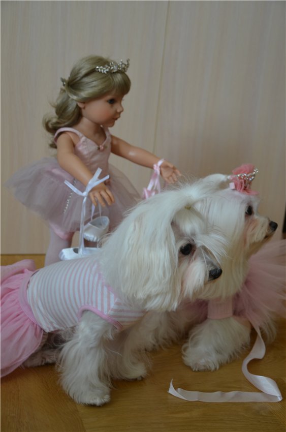 Балерина Хлоя или наше участие в конкурсе "Кукла и питомец"