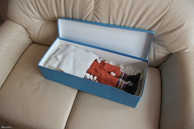 Anne-Johanne II Zwergnase 2004, Анна Ивановна Цвергназе | Бэйбики Anne-Johanne II Zwergnase 2004, Анна Ивановна Цвергназе (фото 2)