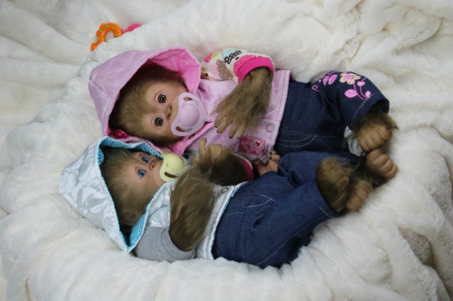 Мартышка - малышка... Куколка реборн Виктории Вишни