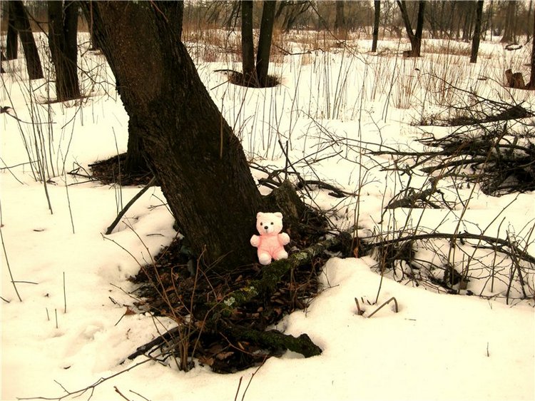 Как мы искали ручейки. Лерочка – коллекционная кукла Sissel Skille