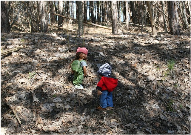 Небольшой поход Вихтелят на Ирдынские болота