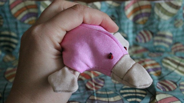 Утконосы для поднятия настроения (фото 4)