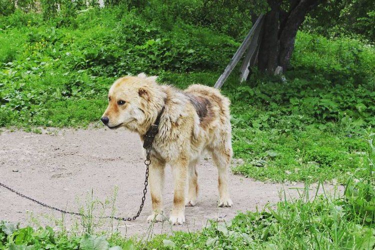 Те, кто нас любит и в домашнем халате, и без косметики, и растрепанными | Бэйбики Те, кто нас любит и в домашнем халате, и без косметики, и растрепанными (фото 2)