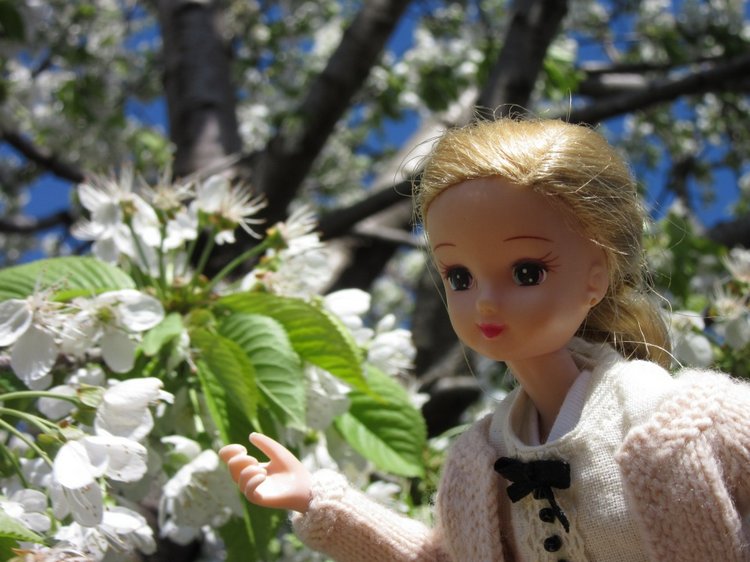 И вновь Хелена посещает логопедический кабинет... а заодно и рассматривает садик