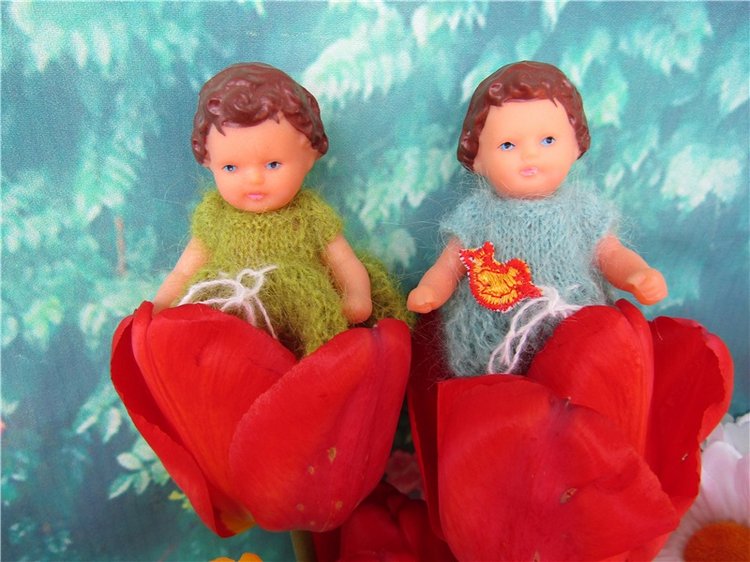 Крокодильчики мои, цветики речные