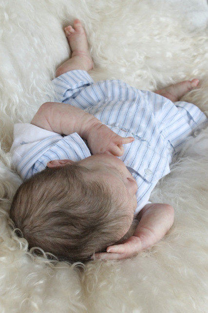 Сиренити от Екатерины Бойковой. Serenity Laura Lee Eagles