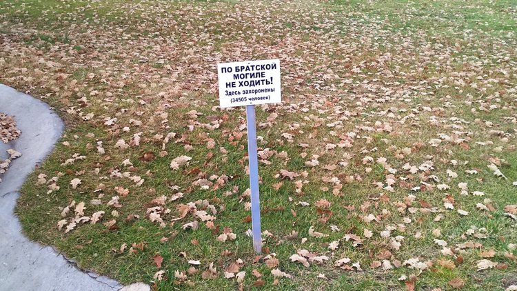 Я не участвую в войне — она участвует во мне