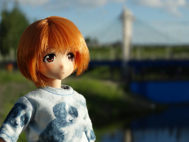 Путешествие с Азоночками Azone doll