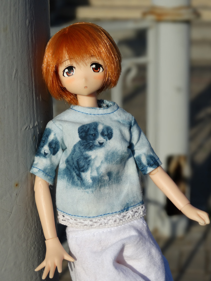 Путешествие с Азоночками Azone doll