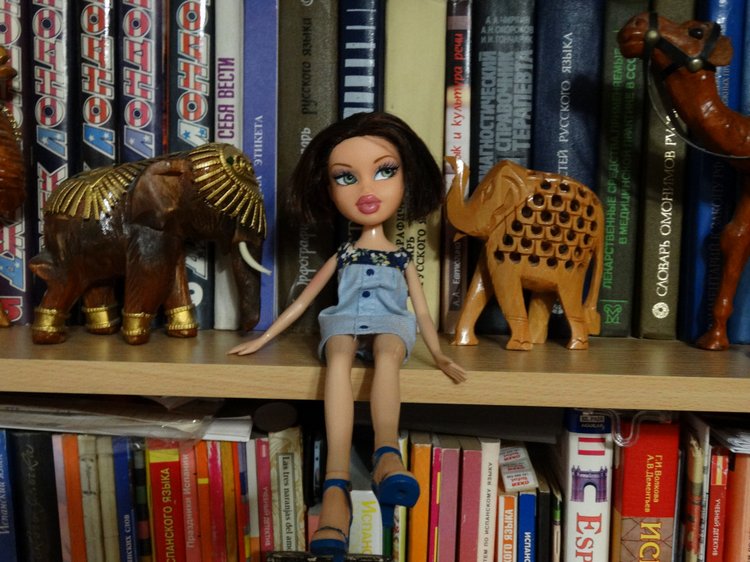 Новенькие жители. Куклы Bratz (фото 5)